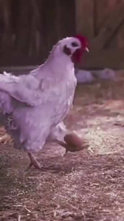 😎