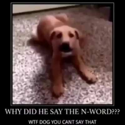 Ñooooo