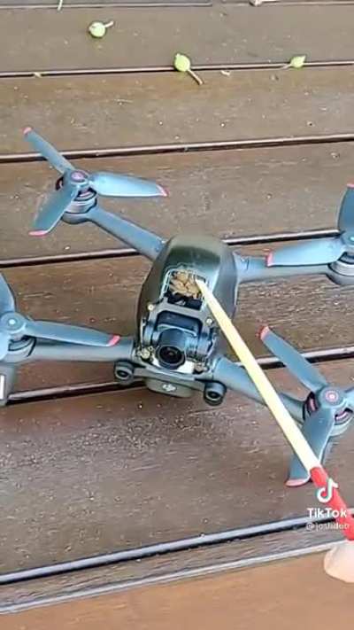 New drone is buggy.