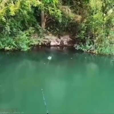 Just a peaceful little swimming hole.