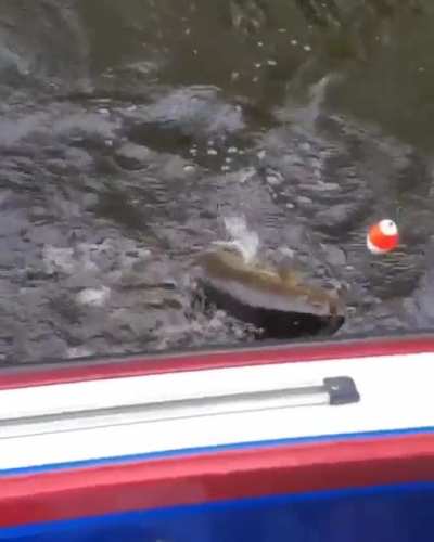 Young Boy Loses It After Catching A Huge Fish