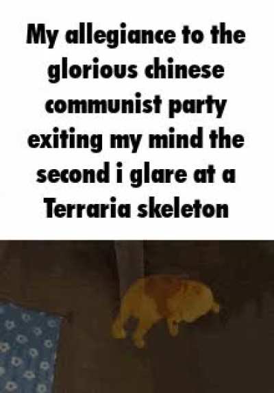 Censorship in china