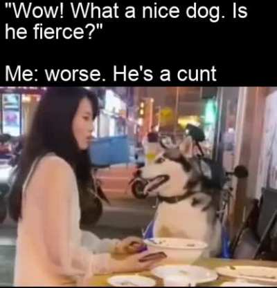 Still a good boi