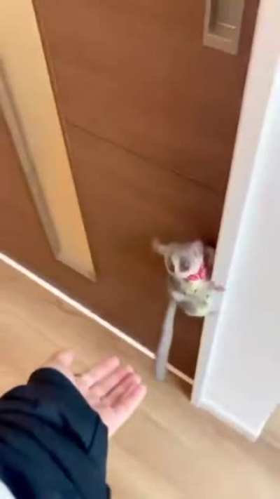Slap