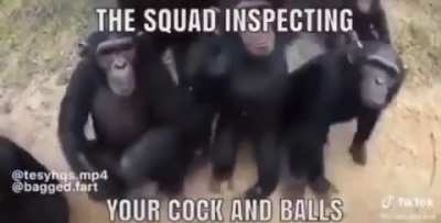 Light 8 to a strong 7