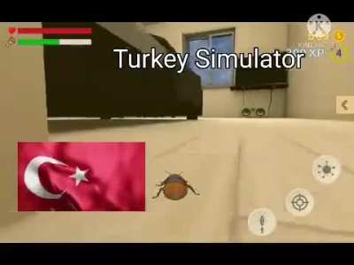 turks can relate