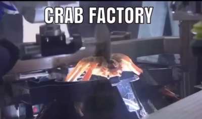 KrabHammer 40k