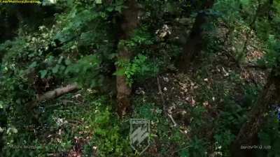  Counter offensive of Azov recon. Mission to liberate the forests of the Luhansk region.