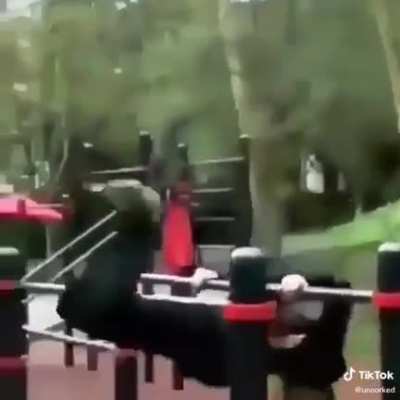 Brain cells reduced to 1..