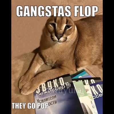 Big floppa - the shabba-do conspiracy