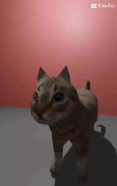 Meow 