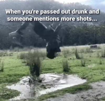 Don't mind if I do!