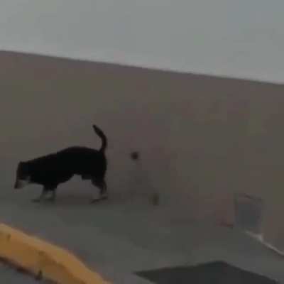 Bomb has been planted