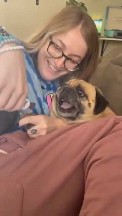 Dog doesn't want to cut its nails
