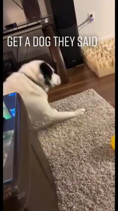 you started it!