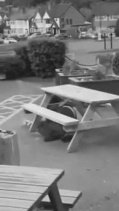 Drunk man vs table