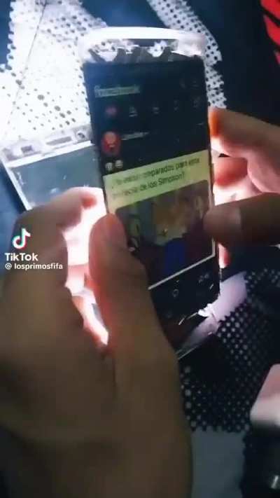 Xd