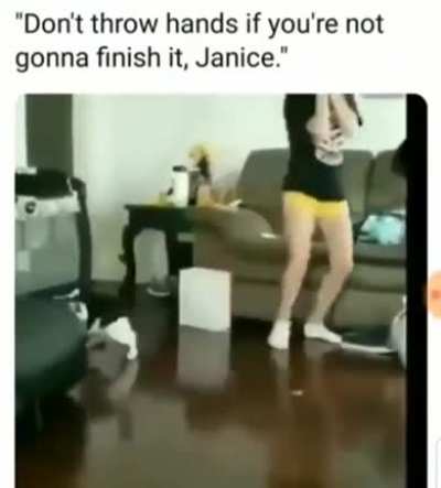 Cat assaults human