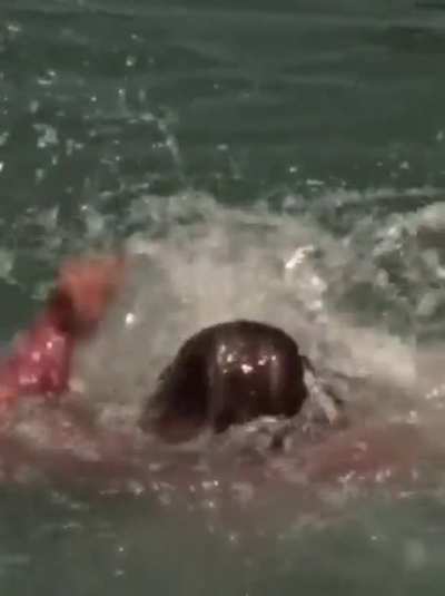 A wholesome clip of someone teaching someone how to swim.