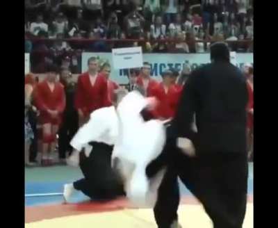 Steven Segal, deadly martial artist