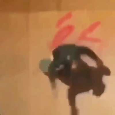 macaco de skate