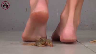 Crush 🦞[Barefoot]