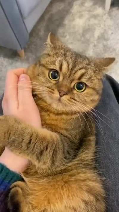 That stare