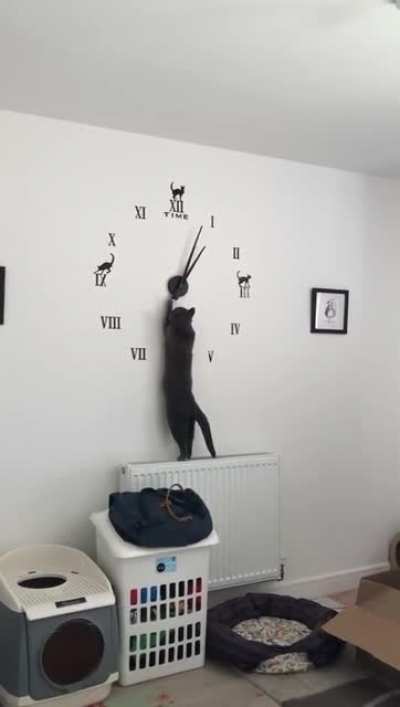 Daylight savings time ,...checks for accuracy!