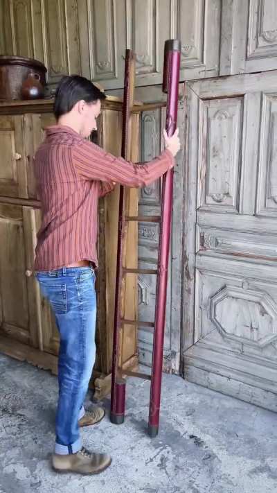 Multi purpose staff for those library wizard