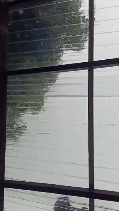 Rain view from under my terrace.