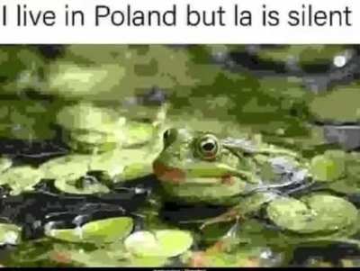 Damn, I wish I was a frog... Just for a day