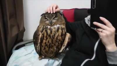 Rub rub rub rub