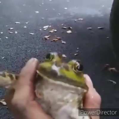 He screams as the pain of his past is remembered