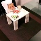 Terrific dinner, Sharon. May I have the salt?