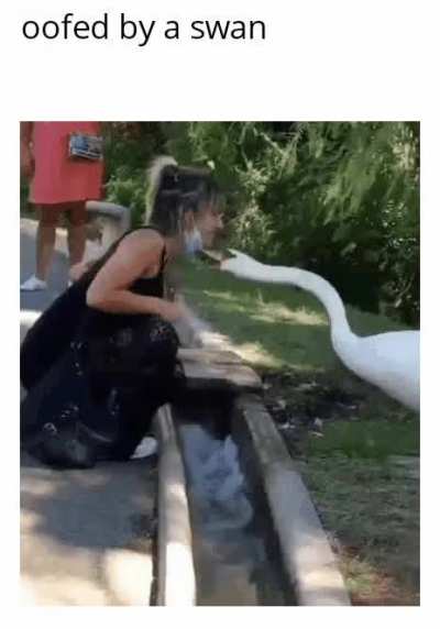 𝕠𝕠𝕗