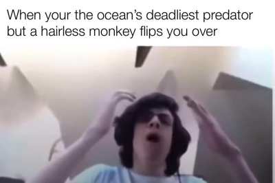 Get rotated