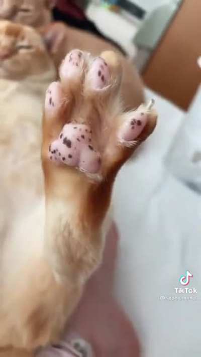 I don’t think I’ve ever seen totally freckled toebeans.