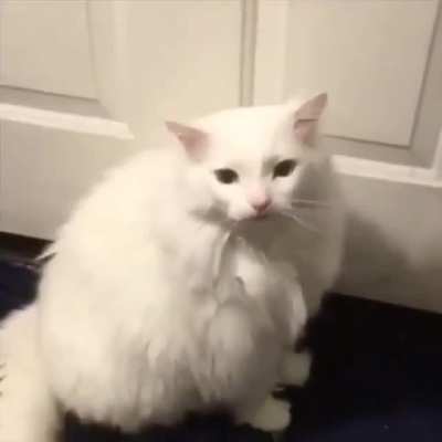 An old gold. I present you Thrustson waffles.