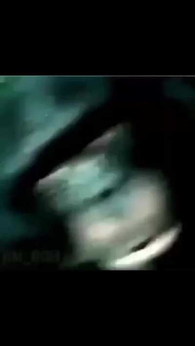 11 of my many memes from my camera roll