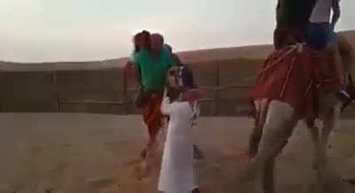 The poor Camel