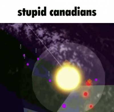 stupid