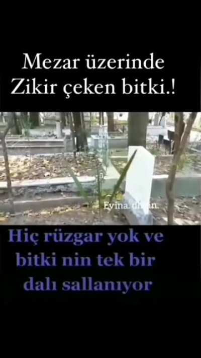 SÜPHANALLAH 😳😨😱