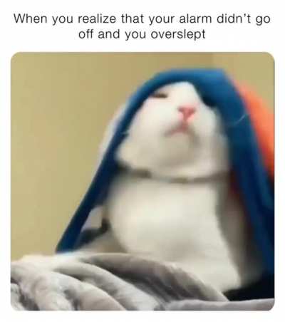 me_irl