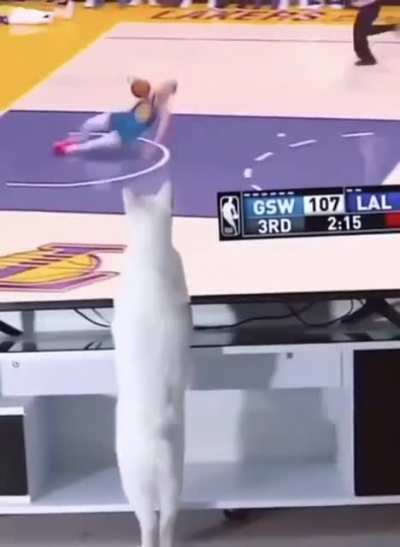 Destruction is his name