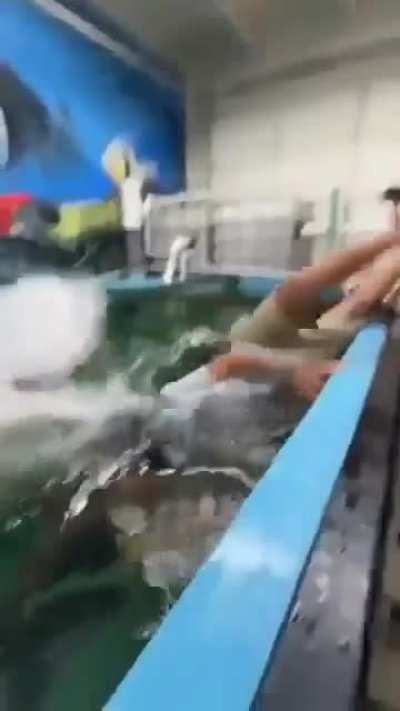 Fish-Butthead Vs Dumb Human = Instant KO 💀