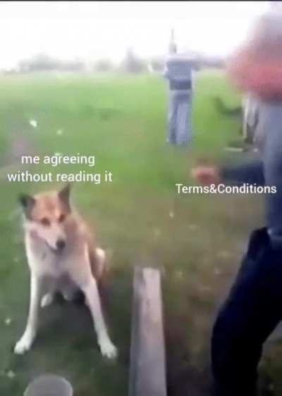 meirl