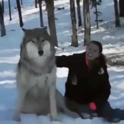 Хороший мальчик