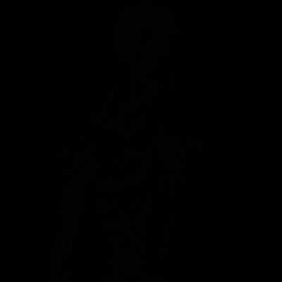 Signal