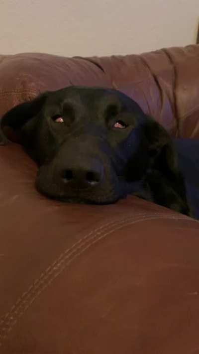 I think she’s broken