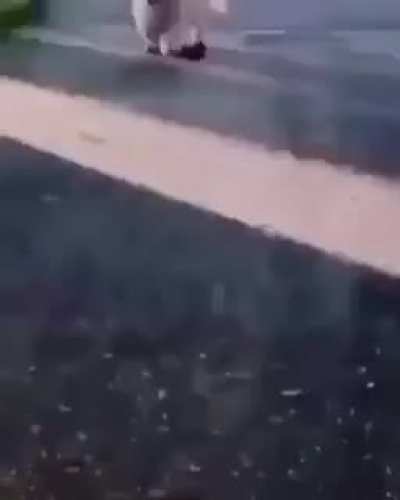 Fofo